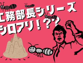 【工務】べた基礎でも油断大敵！築年数とシロアリ