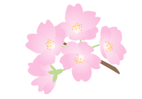 【大分本社】この時期になると…？🌸
