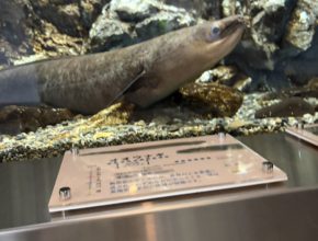 【どこかに連れ出さないと、、、】