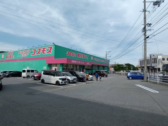 ドラッグストアコスモス日出店