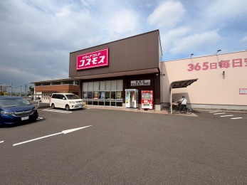 ドラックストア　コスモス曽師店